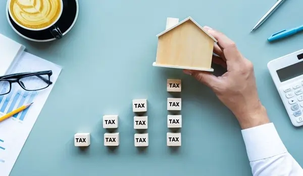 Pristine Amore taxes and standards
